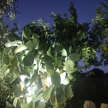 La Casa Delle Contesse *