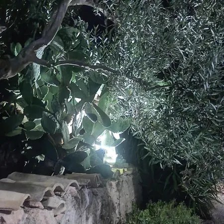 La Casa Delle Contesse Apartment